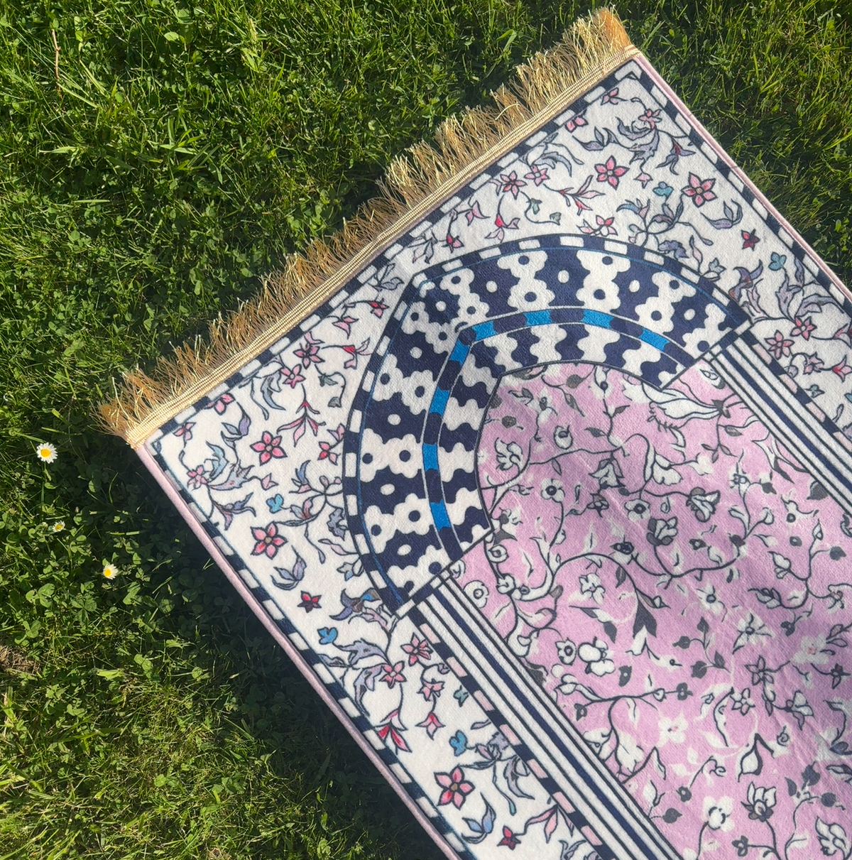 Medina Garden