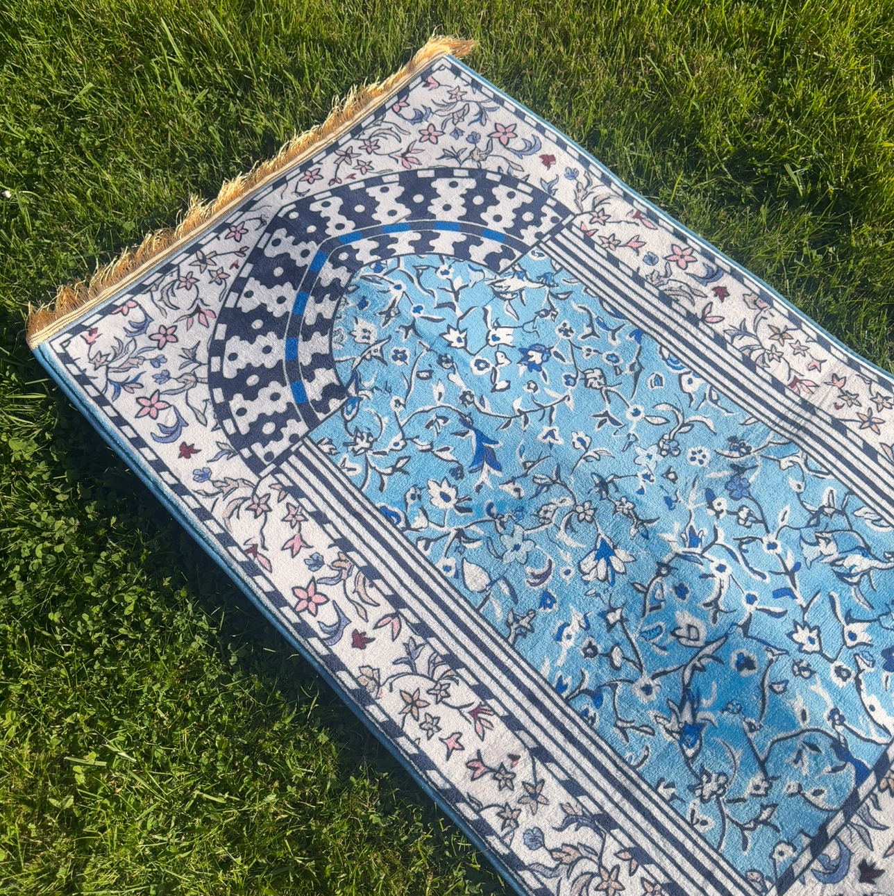 Medina Garden